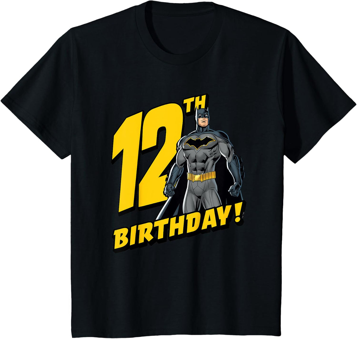 12th Birthday T Shirt Everyday Wear